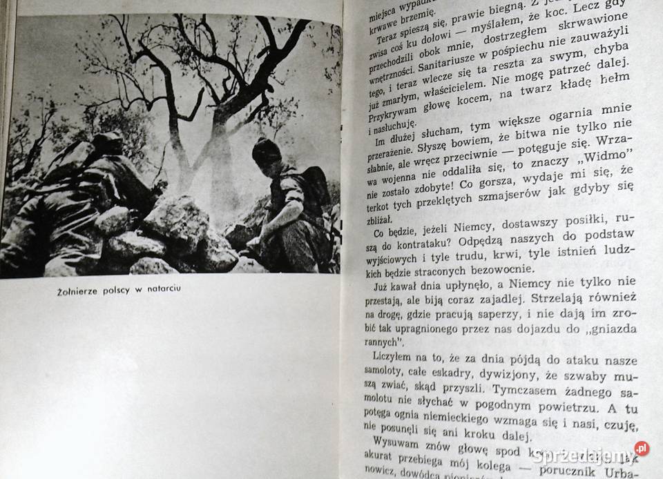 wzgórza Italii Wacław Pietrzak sprzedam