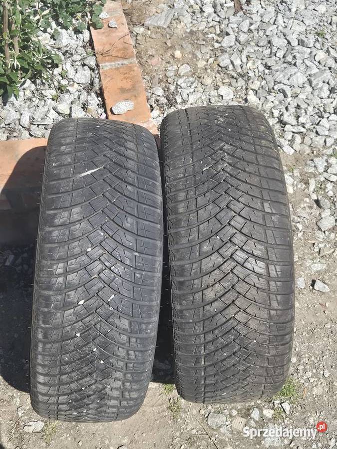 Evergreen DynaControl EA721 2155017 Trzebnica