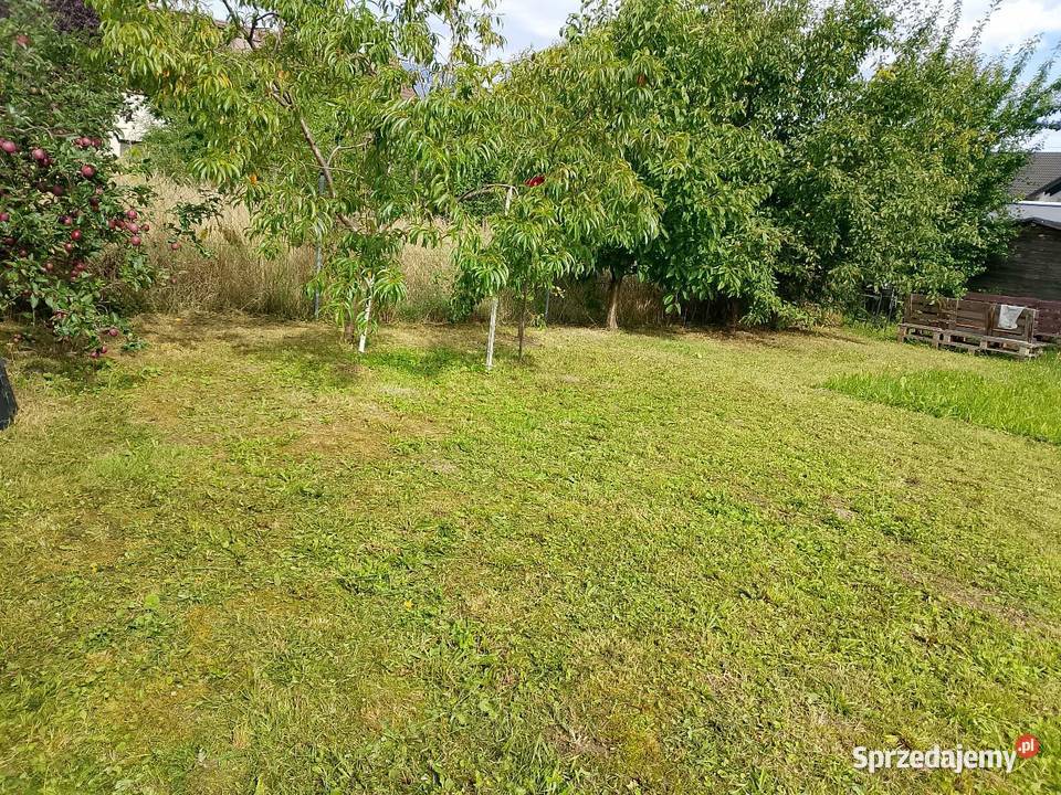 Mieszkanie 100m2 z ogrodem 350m2 100m2 Mirków sprzedam