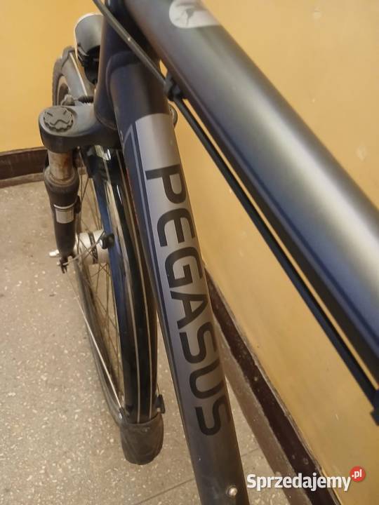 Rower Pegasus
