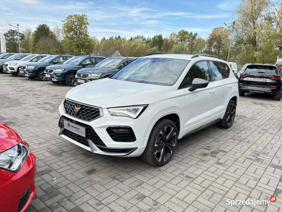Cupra Ateca 15TSI 150 DSG 2024 r salon I benzyna Myślenice
