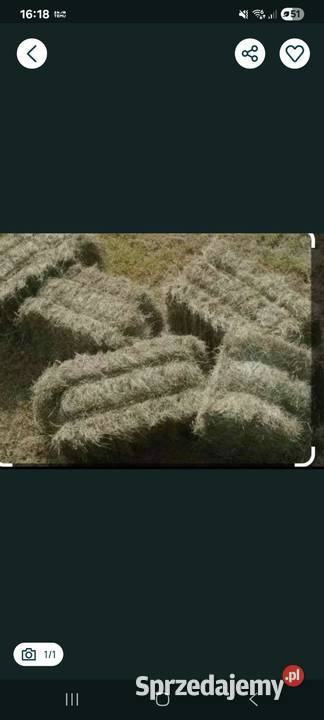 Sianko w kostkach Trawy, słoma śląskie Wieszowa