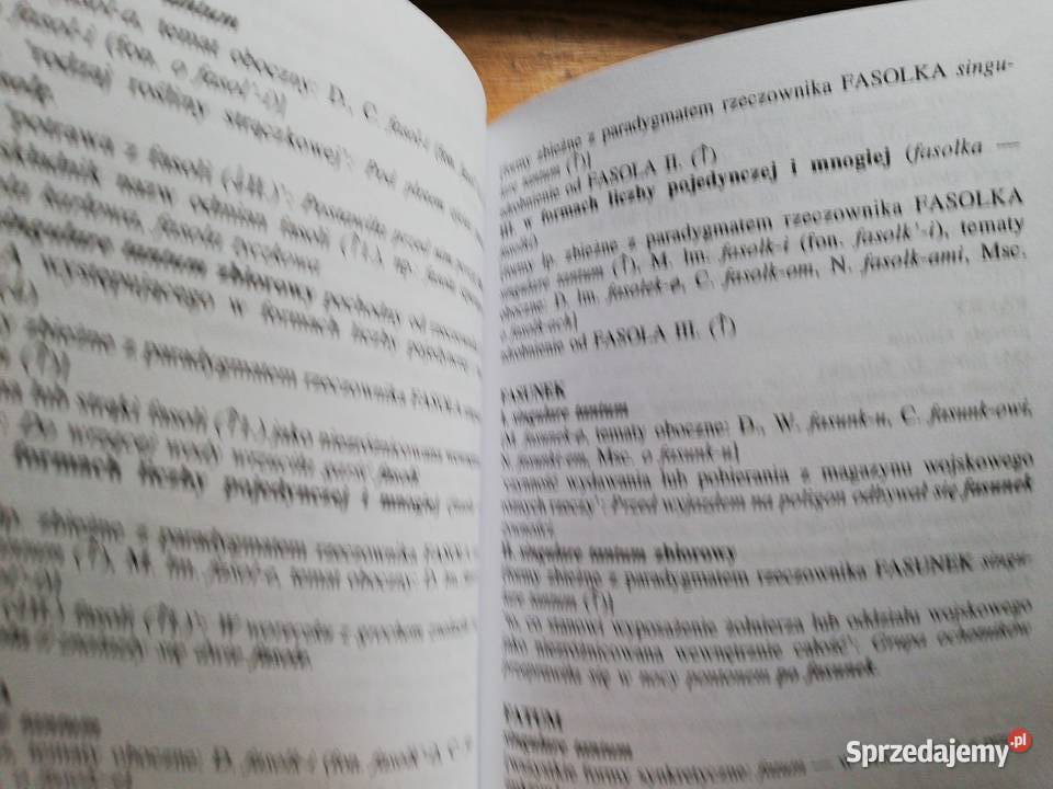 Mały słownik terminów gramatycznych rzeczowników Kraków