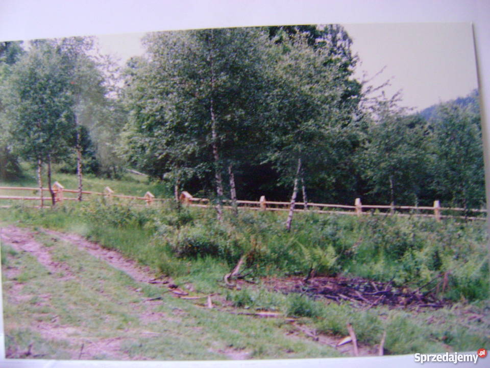 Zawoja Wełcza działka budowlana 1567m2 małopolskie sprzedam