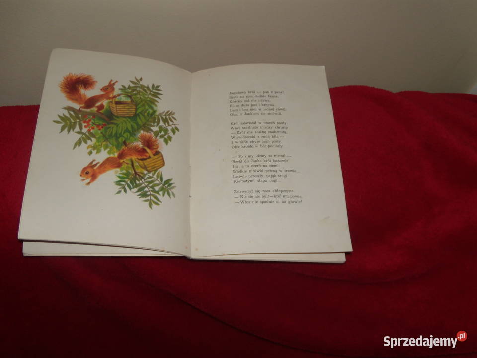 Książka Na jagody Maria Konopnicka mazowieckie sprzedam