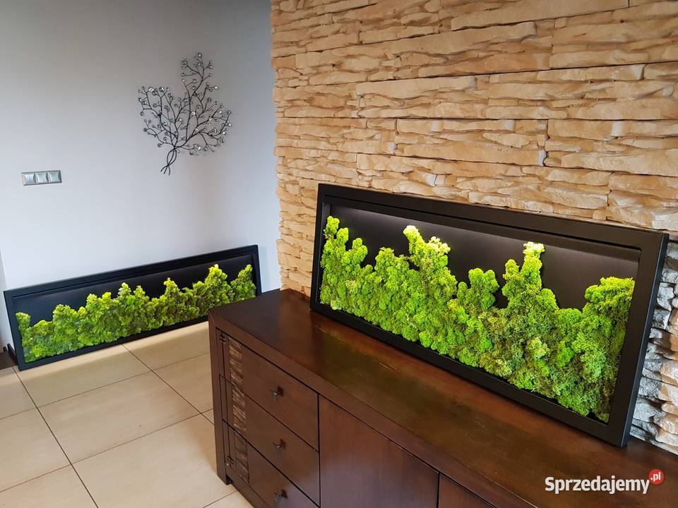 Ekoobraz stalowa rama mech chrobotek led śląskie Czernica