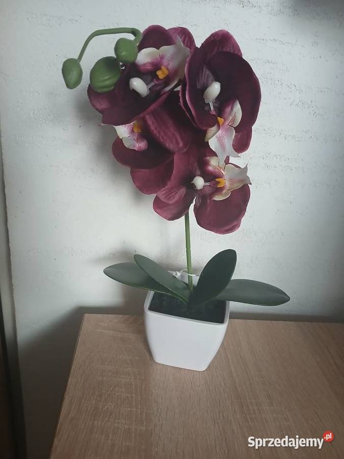 Sztuczny kwiat storczyk w doniczce Sztuczne kwiaty i owoce Chrzanów