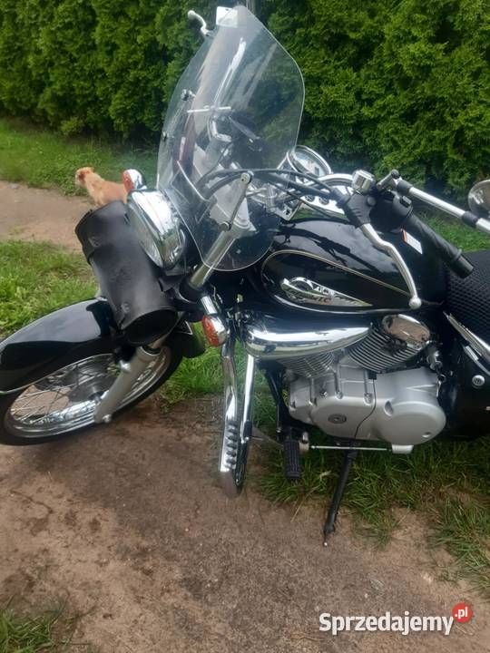 Suzuki Intruder 125 2000r Kołczygłowy