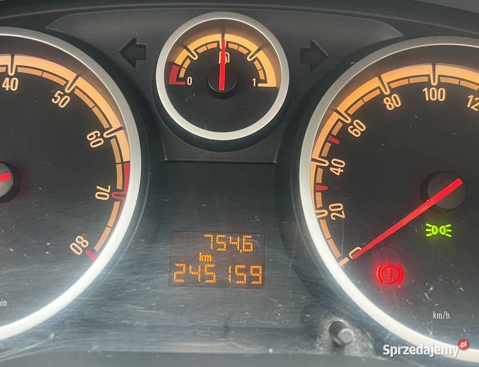 Sprzedam Opla wielkopolskie