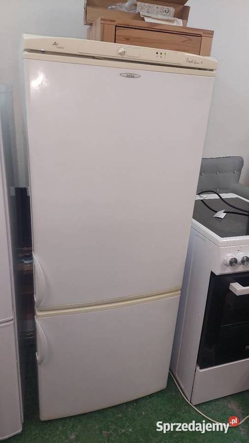 Lodówka Amica 147 Poznań