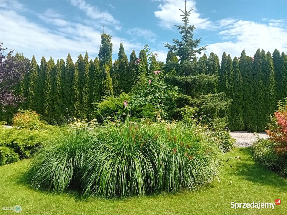 sprzedaży domu BuskoZdrój 1548m2