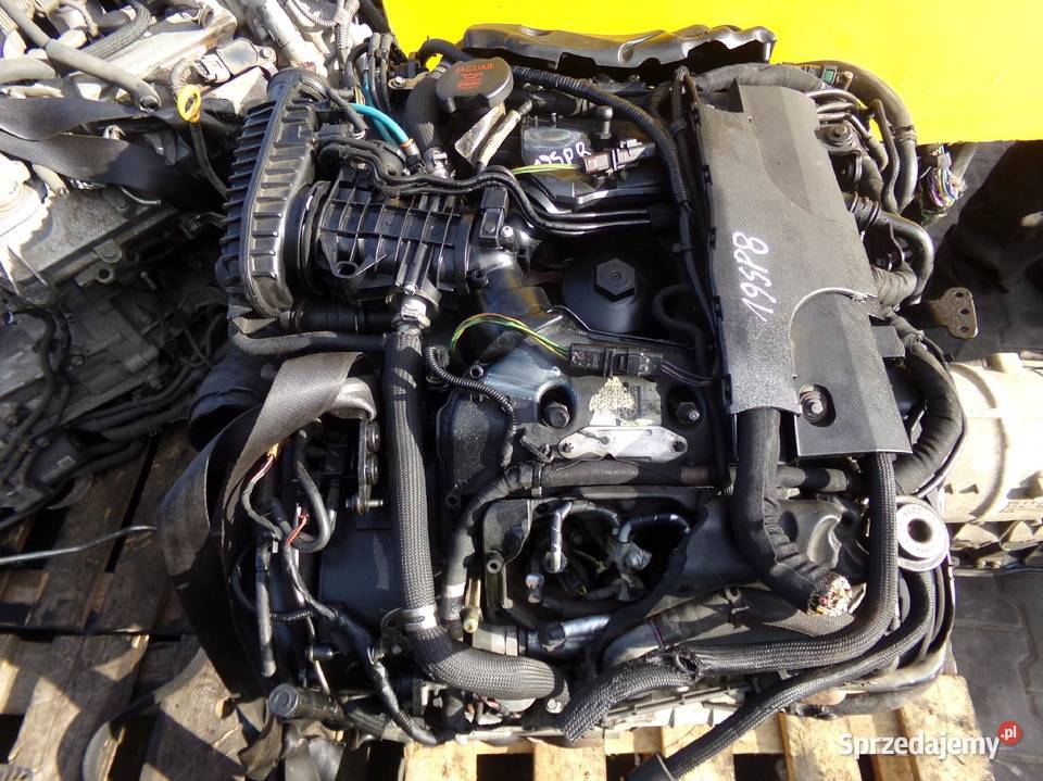 XF XJ DISCOVERY 30 D TD V6 12r 241 306DT wtrysk osobowe Suków sprzedam