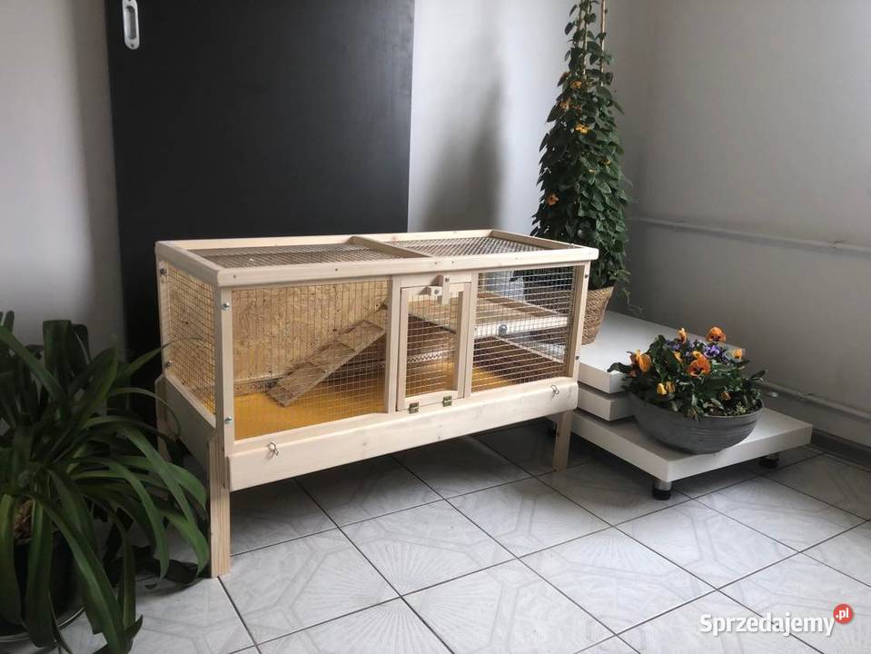 Klatka drewniana zagroda królika świnki morskiej śląskie Myszków