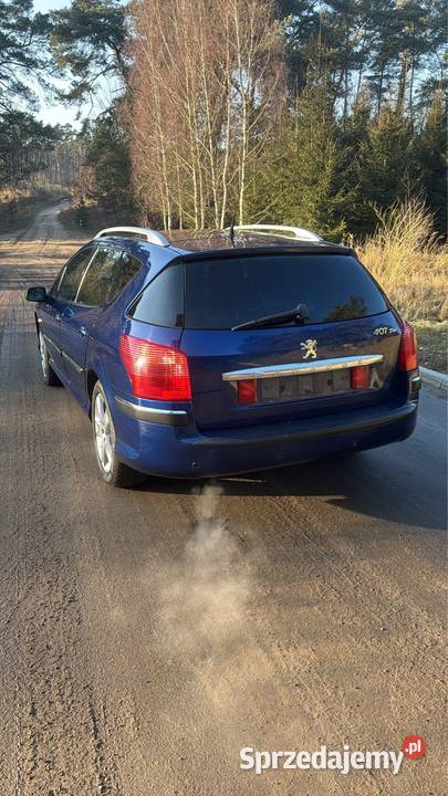 Peugeot 407 benzyna Margonin