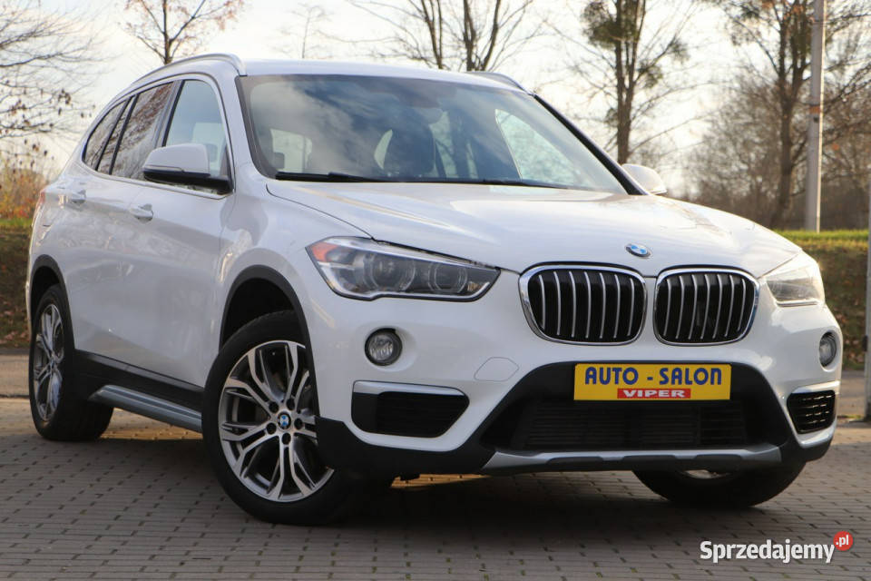 BMW X1 automatskóraalu4x4serwiszarejestrowany II