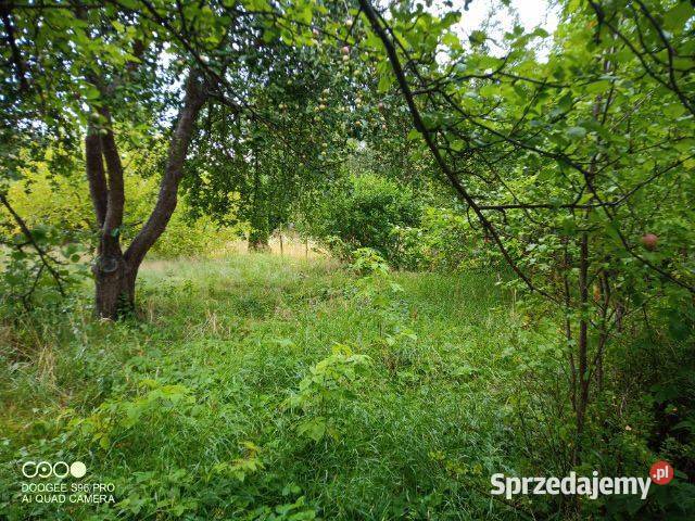 ROD 600m2 wójtowa rola 600m2 warmińsko-mazurskie