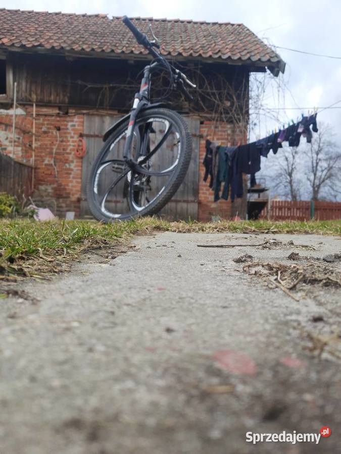 Sprszeda rower indiana