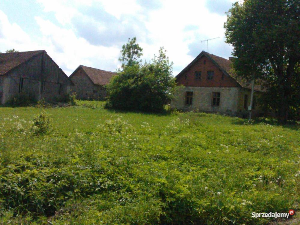 SIEDLISKO WARMIA I MAZURY GOŁDAP NASUTY sprzedam