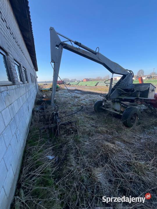 cyklop mazowieckie Ciechanów