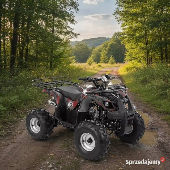 Quad pojazd spalinowy HECHT 56126 HURON MOC 76 świętokrzyskie Chmielnik