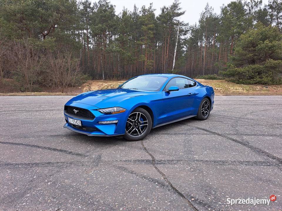 Ford Mustang 23 ecoboost Lasek sprzedam