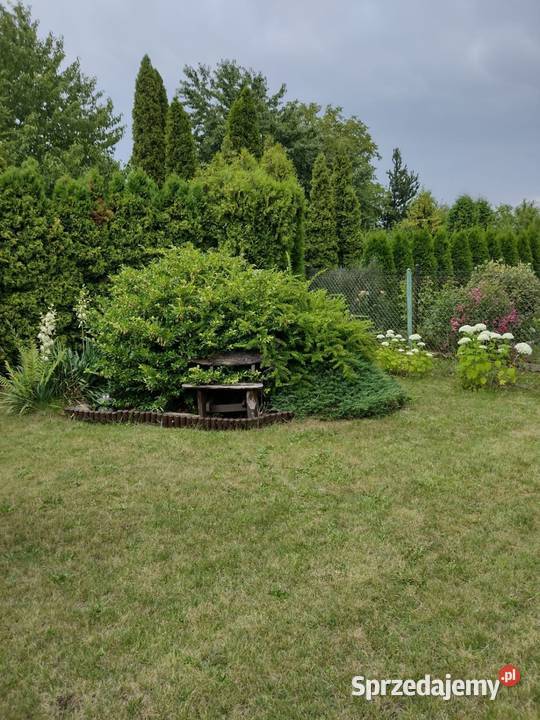 Sprzedam Ogródek Działkowy Piekary Śląskie