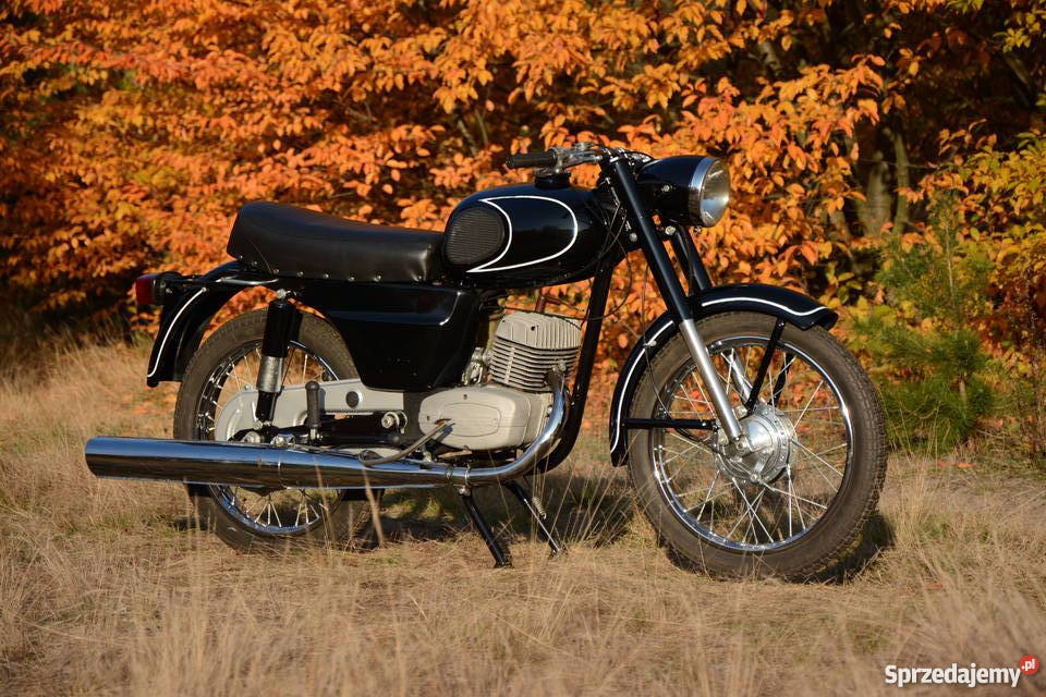 WSK 175 odrestaurowana Pozostałe podkarpackie Nowa Dęba