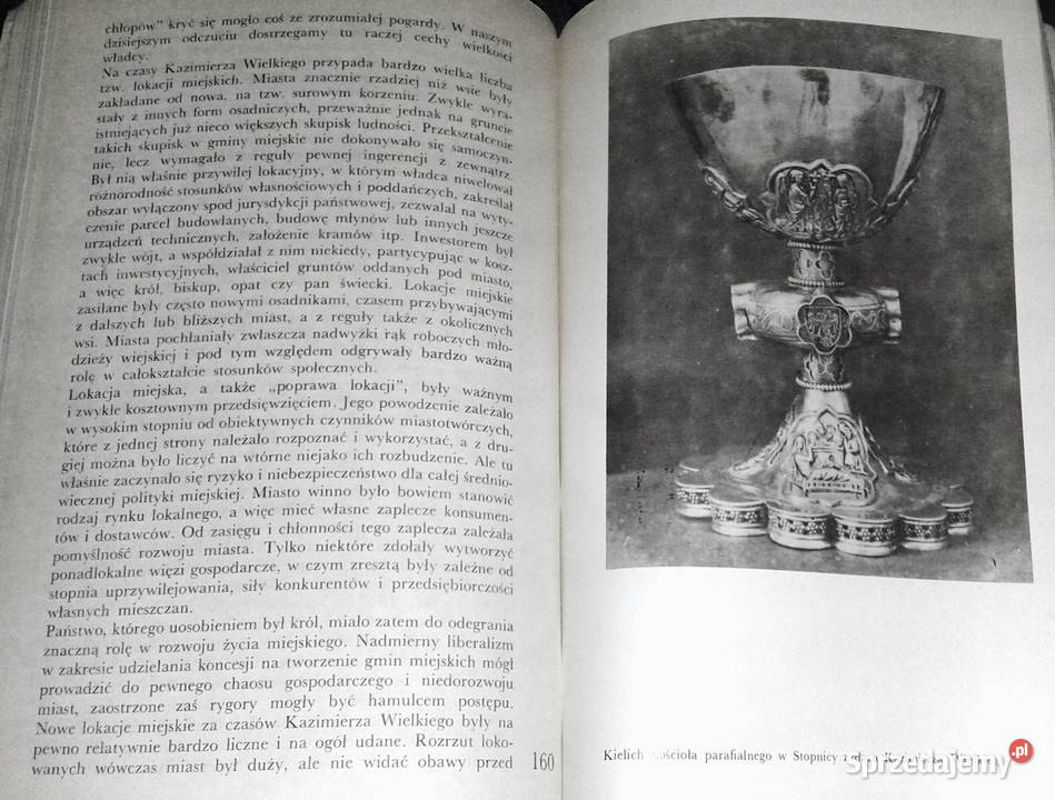 Kazimierz Wielki Jerzy Wyrozumski lubelskie