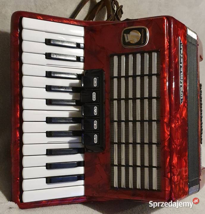 Akordeon weltmeister Krzeszowice