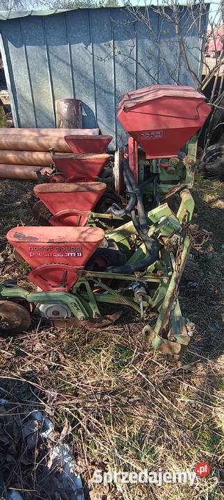 Siewnik kukurydzy 4 rzędowy Siewniki i sadzarki Kamień Krajeński