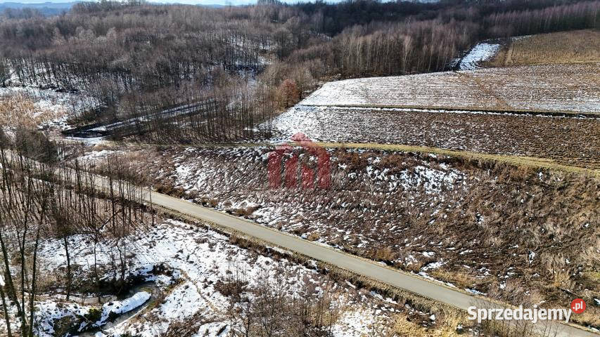sprzedaży działki Nawsie 700m2 Nieruchomości podkarpackie sprzedam