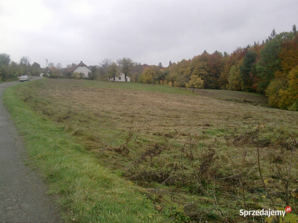 Działka budowlana 45a Dąbrówka Szczepanowska Sprzedaż