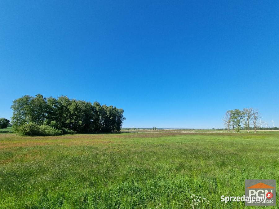 Działka Strzeżewo 14112m2 250m sprzedam