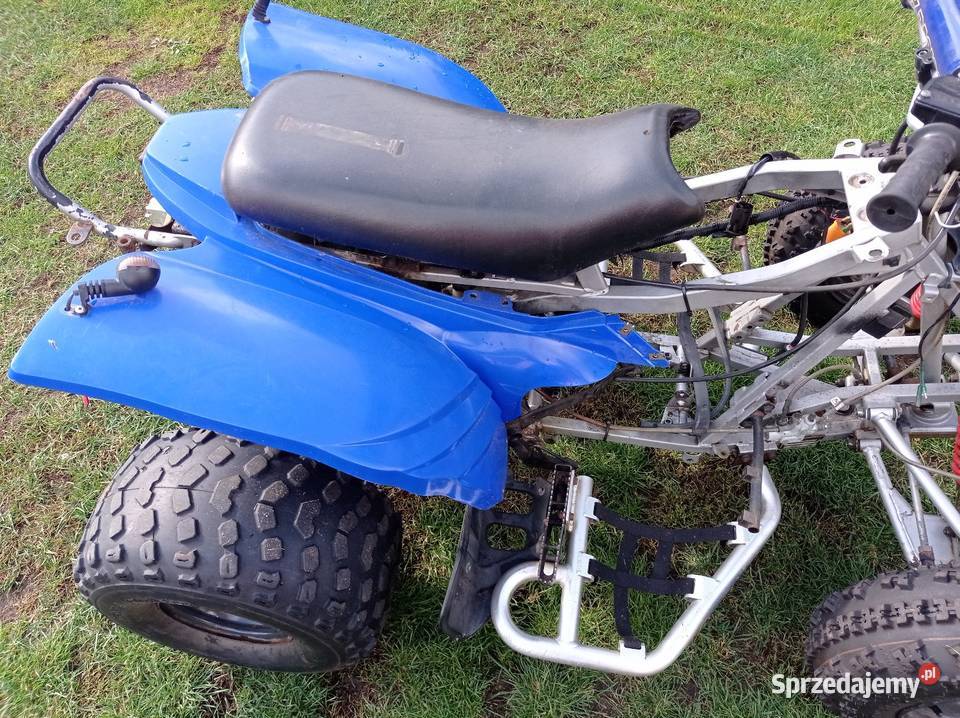 Quad Adly Interceptor 300 Majdan Królewski