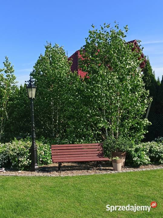 parkowa ogrodowa lampa latarnia żeliwna h 380 Gołdap