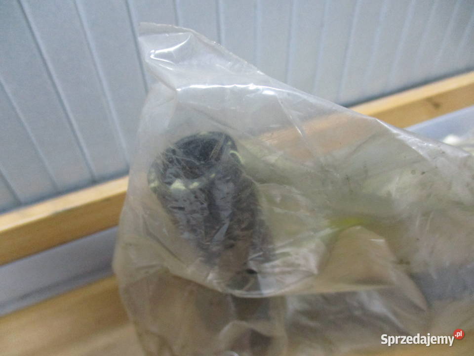 Przewód formowany gumowy MAN TGALMSX 81963010895 Mogilno