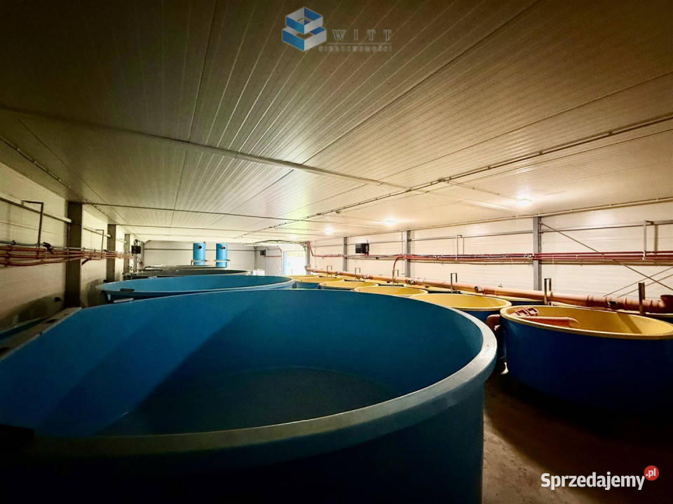 Lokal 342 metry Łukta sprzedam