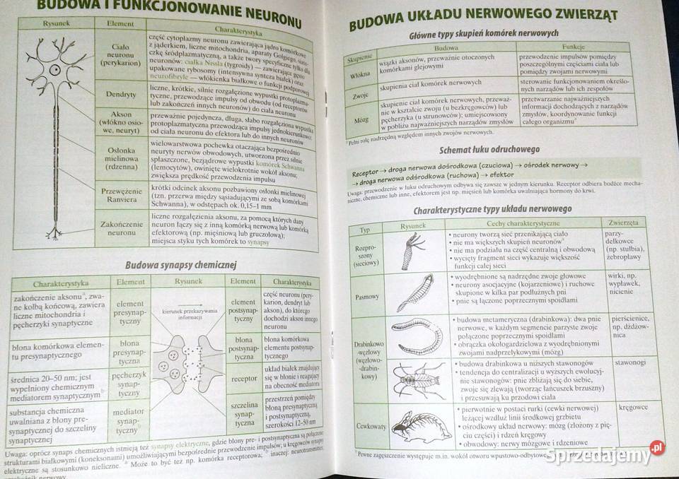 Biologia Małe tablice W Mizerski B Bednarczuk