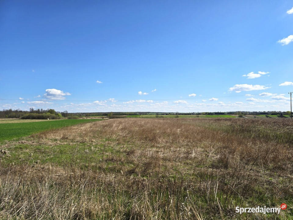 Działka przemysłowa 316 ha Serniki asfalt