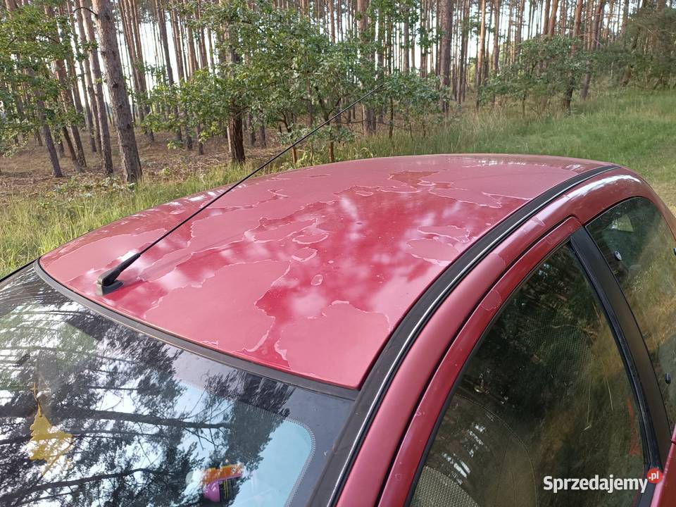 Peugeot 206 14 HDi dolnośląskie Ścinawa
