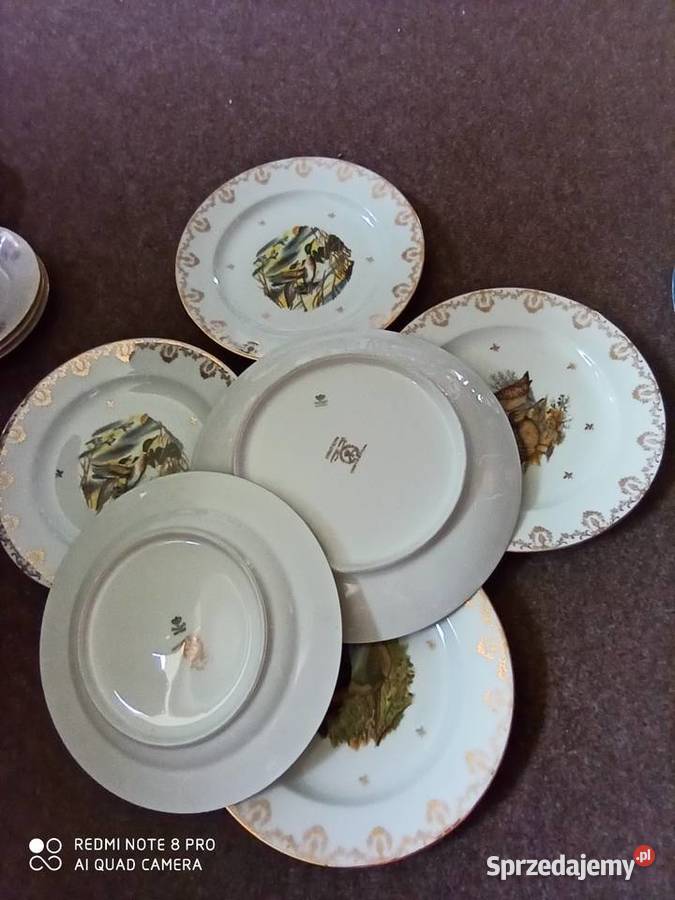 Serwis z ptakami Limoges Francja pomorskie Gdańsk