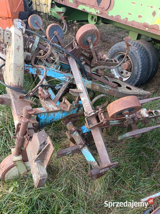 Pielnik nieuszkodzony Leszno