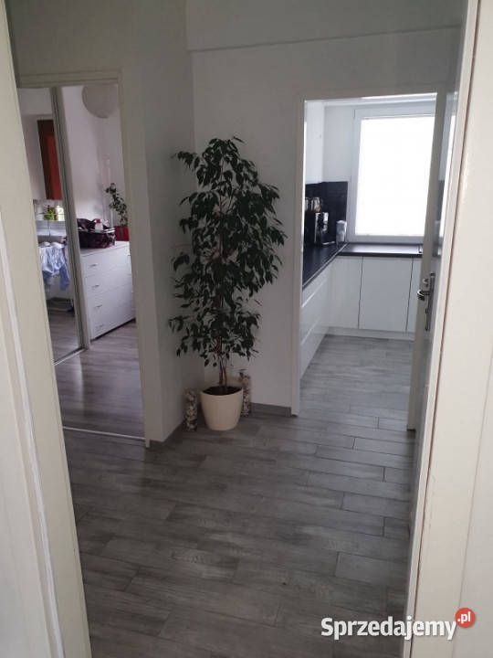 PRZESTRONNE 3POKOJOWE MIESZKANIE W SŁUPCY Słupca