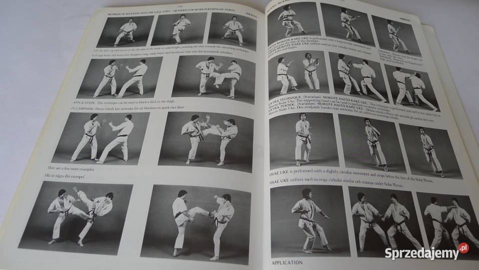 FITKIN Kyokushin Karate 103 DanKata Walki Wschodu mazowieckie Radom