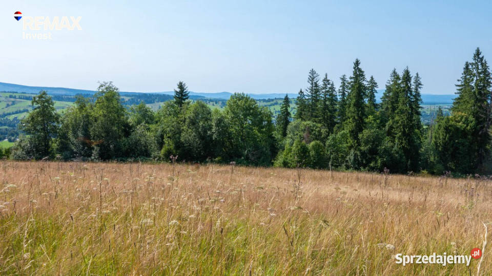 Twój kawałek natury z widokiem na Tatry małopolskie Dzianisz