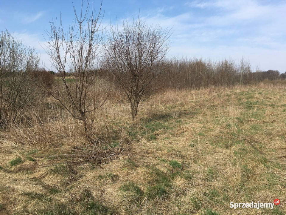 Sprzedam działkę budowlaną Morąg Kolonia