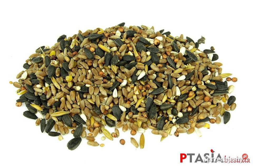 Ptasia Biesiada Standard 20 zimowa karma ptaków Cieśle sprzedam