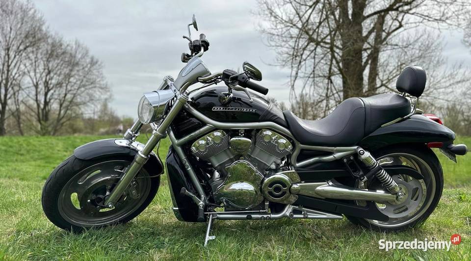 Harley Davidson Vrod lubuskie Sulechów