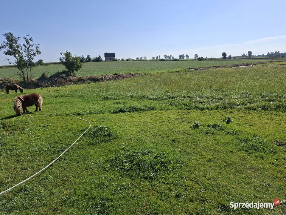 Działka budowlana 1623m z MPZP Sprzedaż Gostyń