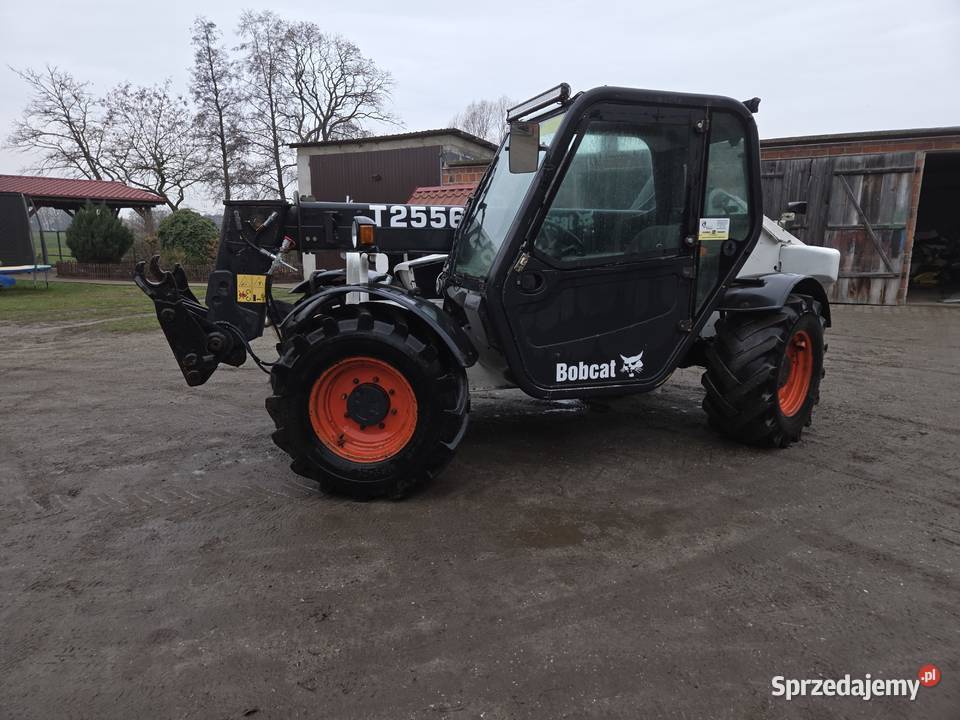Ładowarka Bobcat t2556 manitou massey ferguson Pozostałe Barłogi